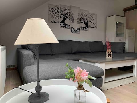 Relaxing moment on the banks of the Meuse