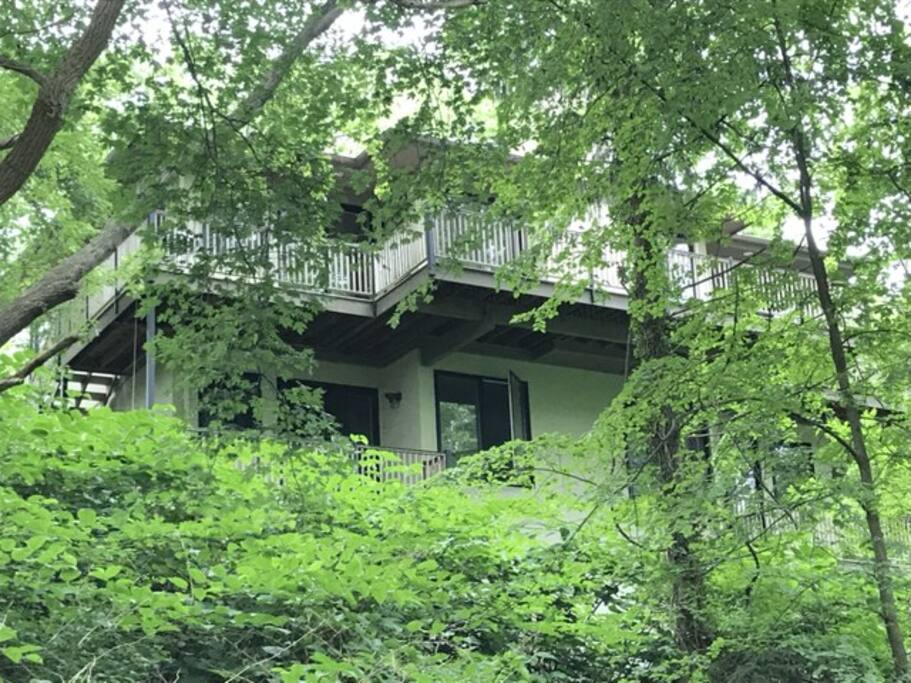From the back. Both the main level and lower levels sit well above ground, among the treetops!
