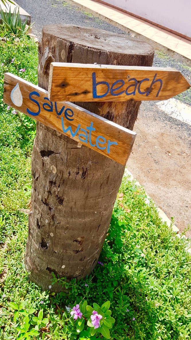 A wooden post stands in a garden, featuring two signs. One sign points towards the 'beach' while the other encourages to 'Save Water'. Green grass and pink flowers surround the base of the post, creating a natural setting.