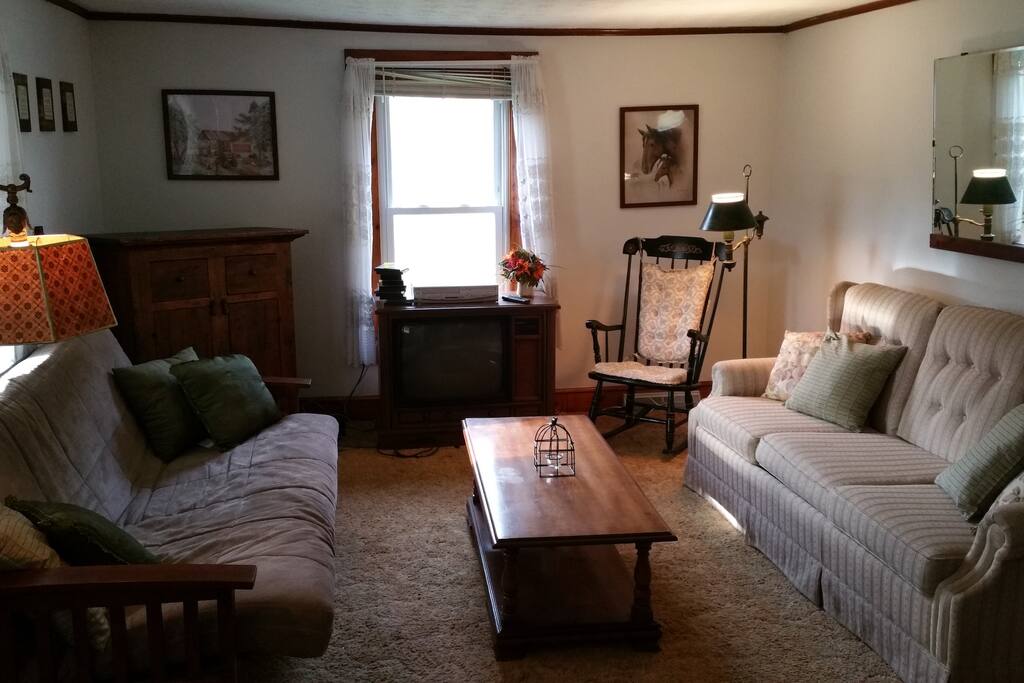 Living room with Sofa bed