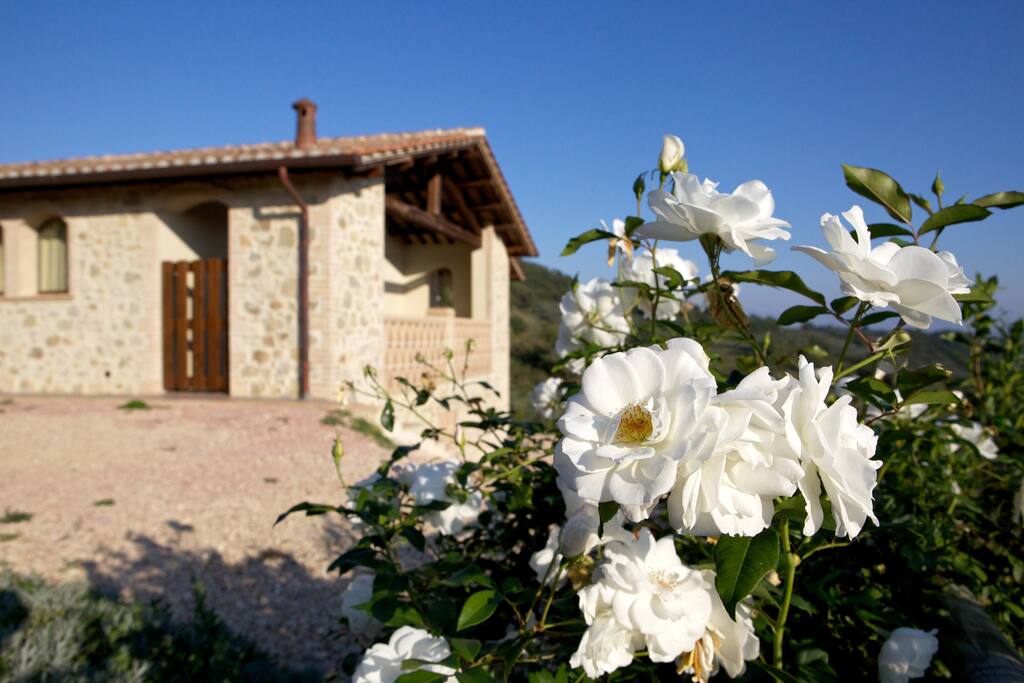 THE HOUSE