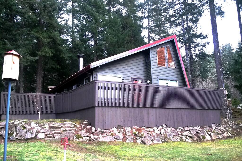 "Buck" Deer X-ing (side of the cabin)!