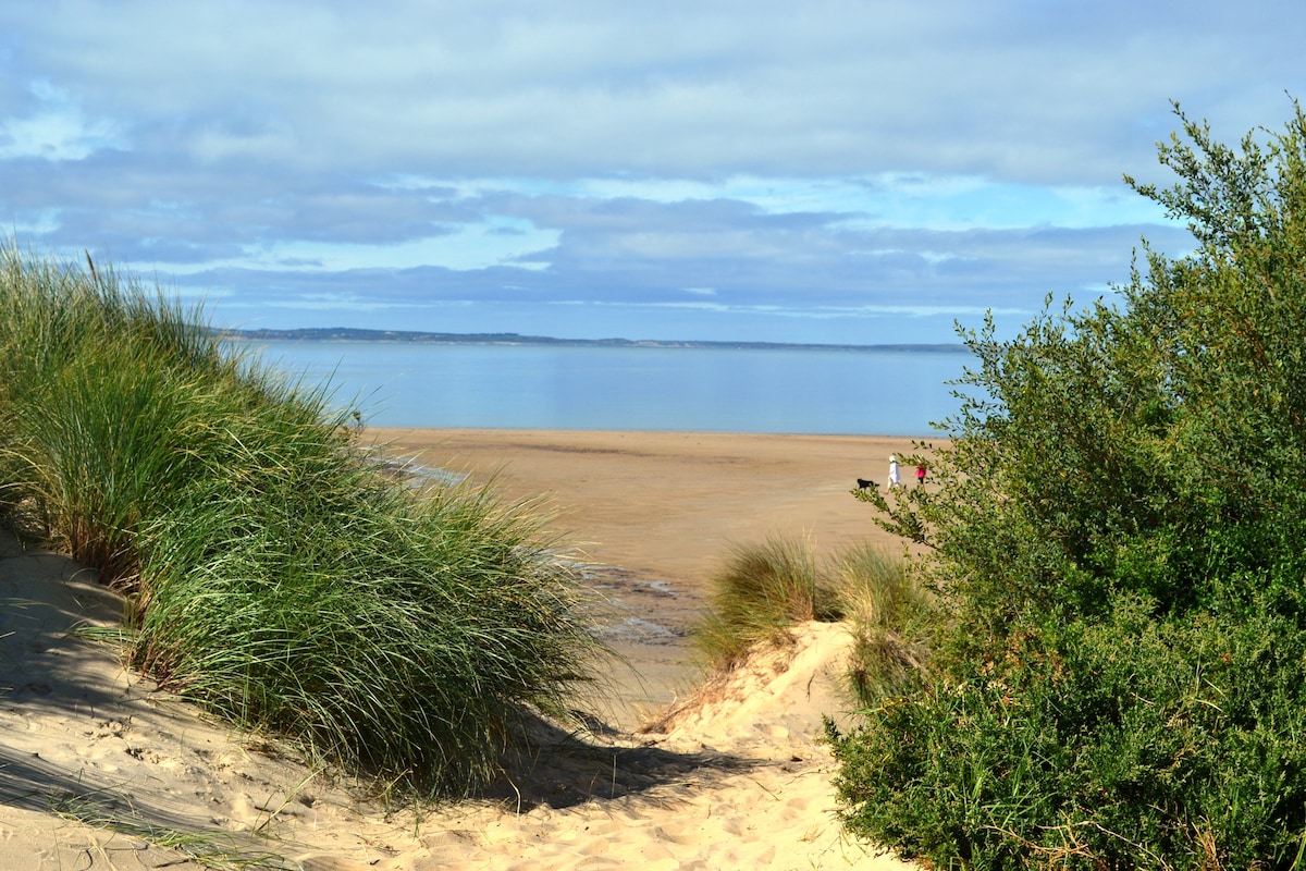 A serene beach scene is framed by lush green grasses and low shrubs, leading towards calm waters. The shoreline is visible in the distance, reflecting the soft blue sky above, creating a tranquil atmosphere conducive to relaxation.