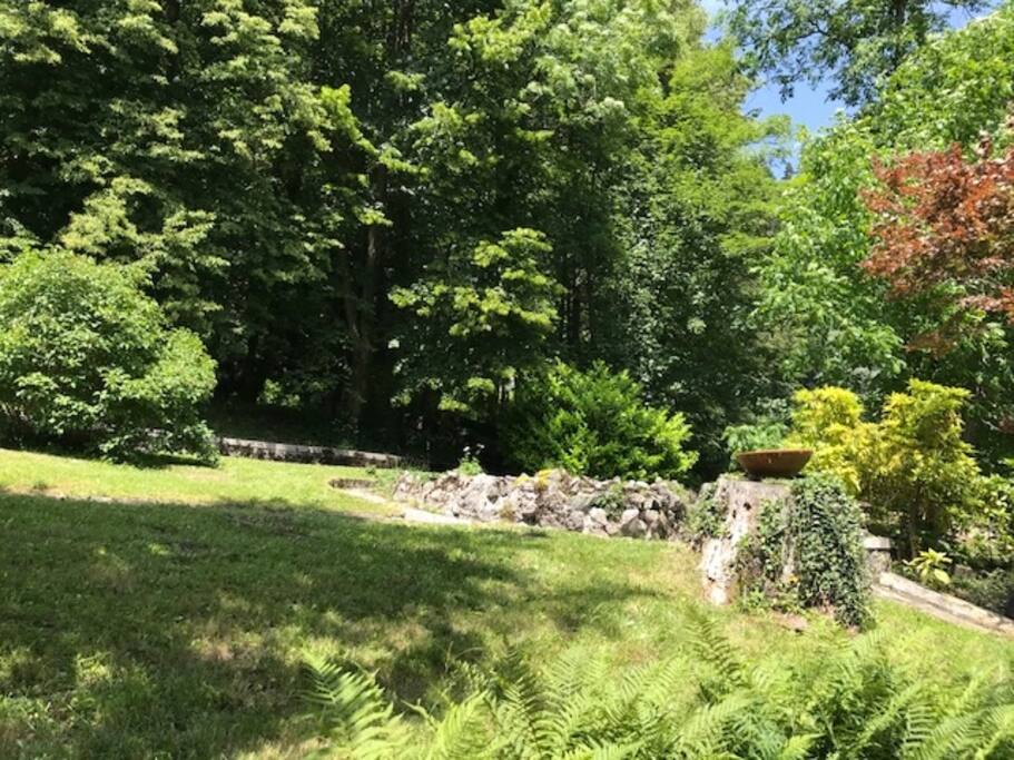 Giardino