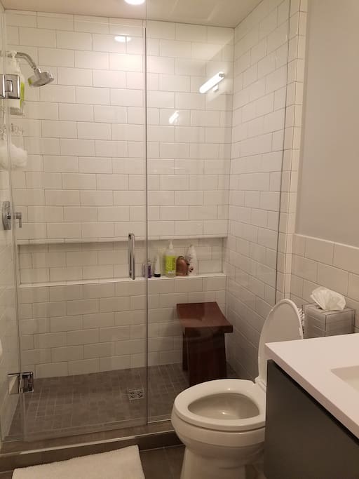 Brand new bathroom