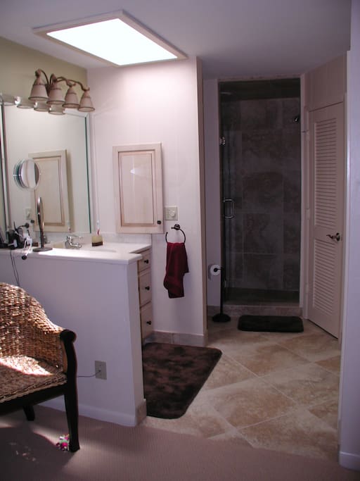 masterbath with sky light