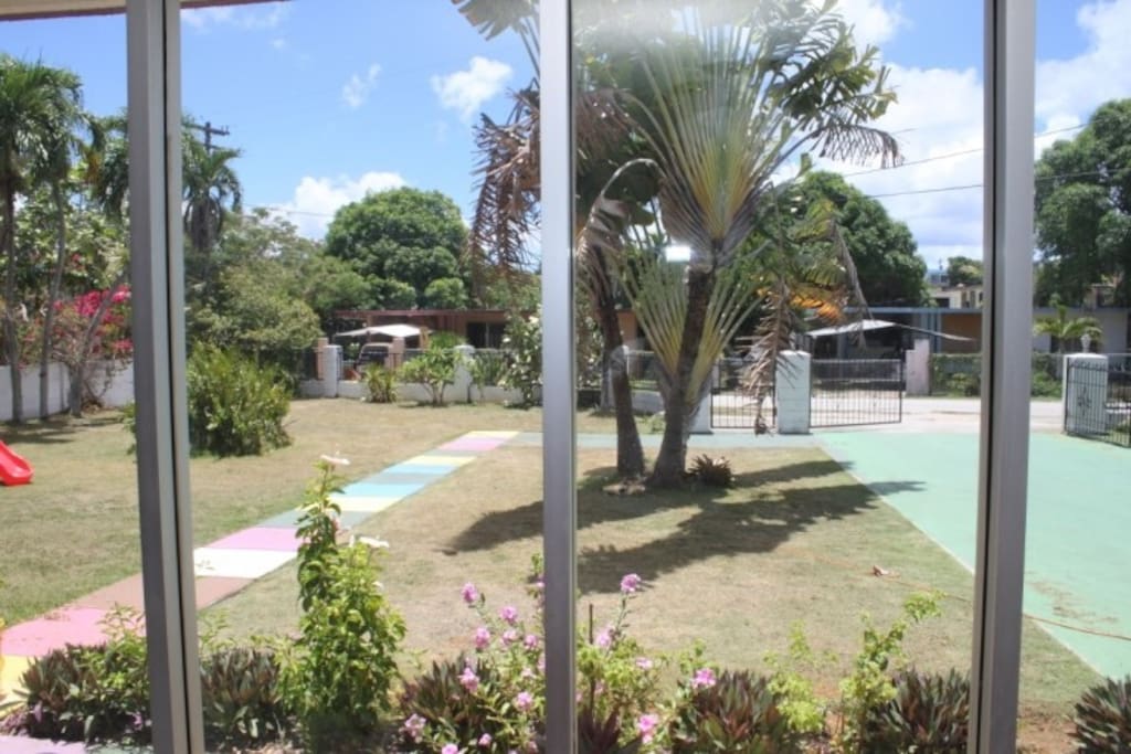 Garden