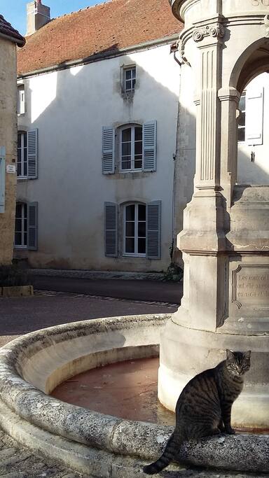 front of the house
