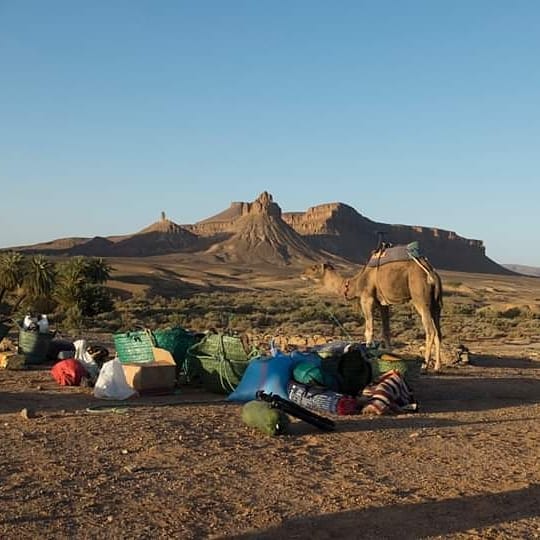 A camel stands nearby, overlooking a rugged mountainous landscape under a clear blue sky. Various bags and supplies are arranged on the ground, with distinct textures and colors contrasting against the earthy tones of the desert surroundings.