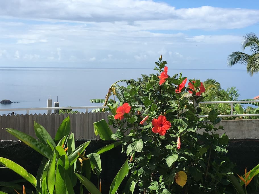 Vue de la terrasse
