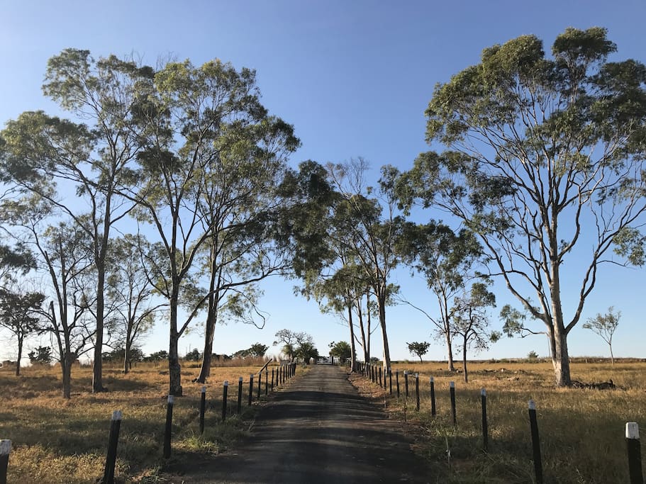 Estrada interna de acesso à casa