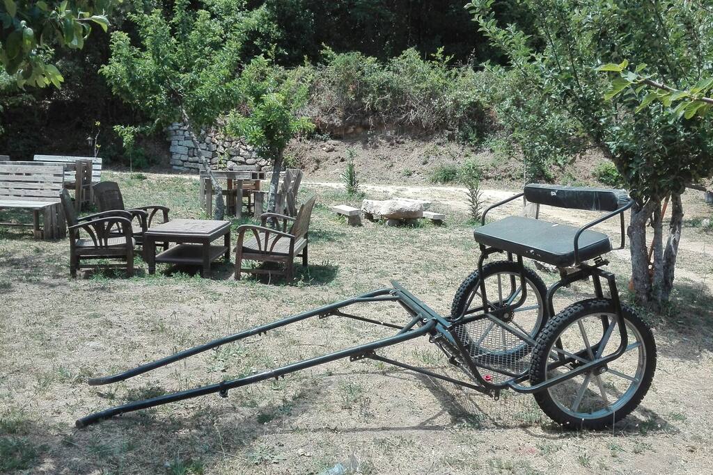 giardino