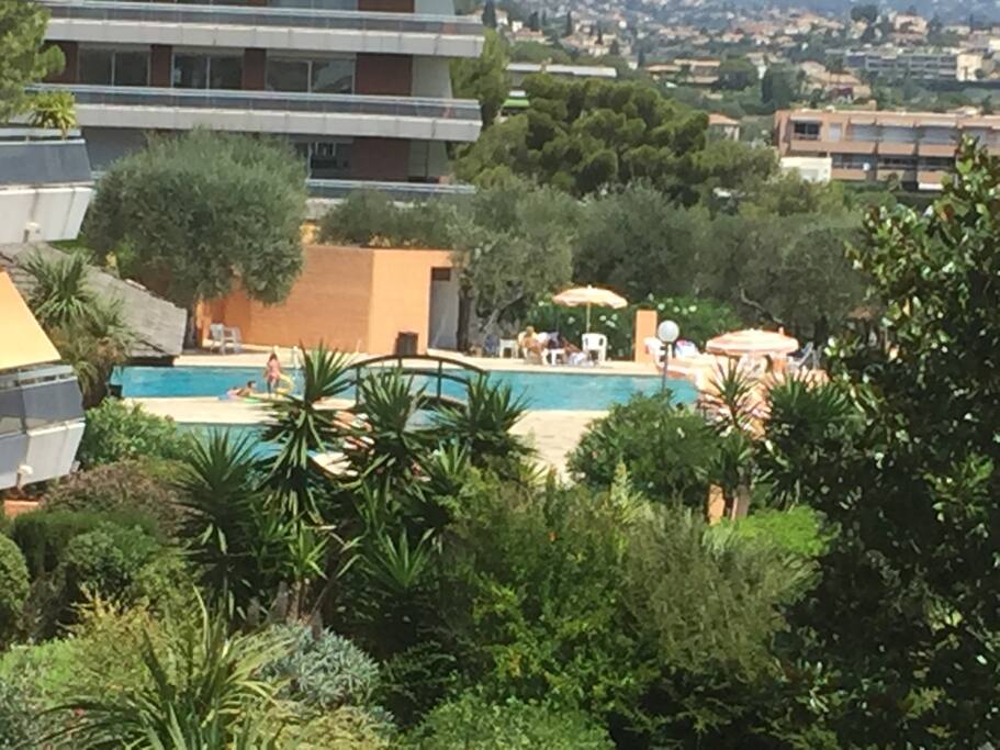 Blick vom Balkon auf Pool