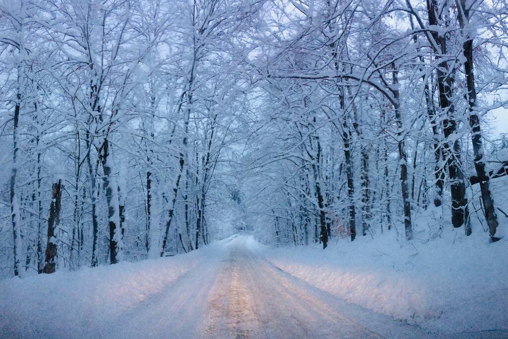 Lincoln Hill Rd. On the way to the house