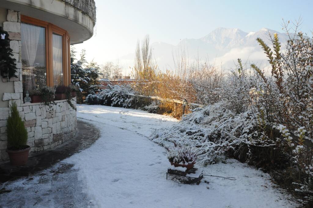 Il giardino d'inverno