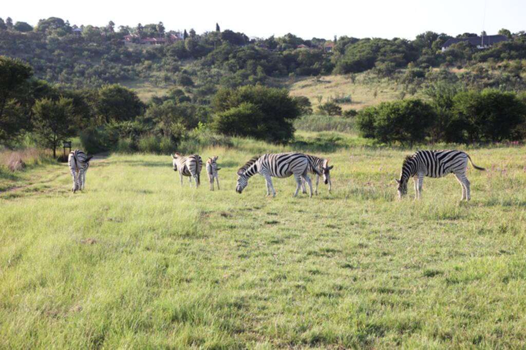 Moreleta Kloof Nature Reserve