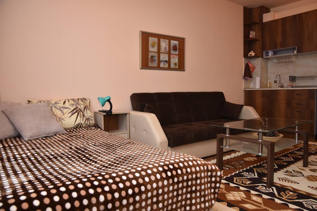 Apartment Plovdiv 3 living room