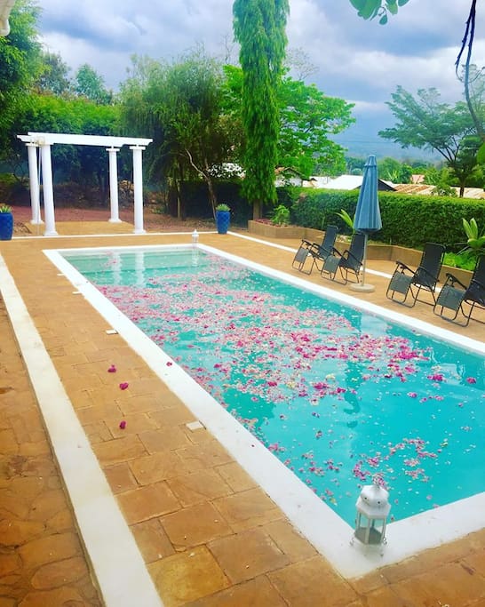 Swimming pool