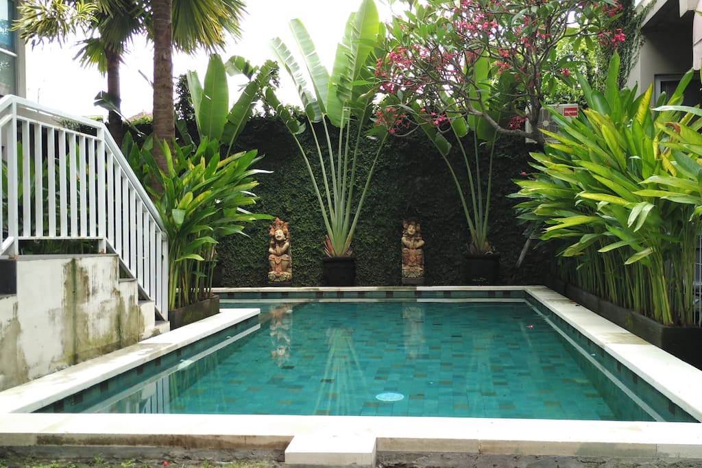pool and garden