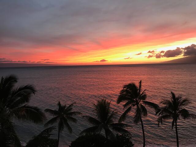 5th floor oceanfront-New Floors-New AC-Sleeps 10+ gallery image 4