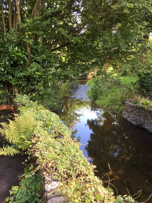 River from garden bridge