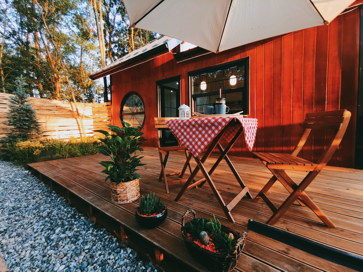 A wooden deck features a red-checkered tablecloth laid over a folding table, accompanied by two wooden chairs. Potted plants add greenery, while a large umbrella offers shade. The backdrop includes a modern cabin with large windows, surrounded by trees and gravel pathways.