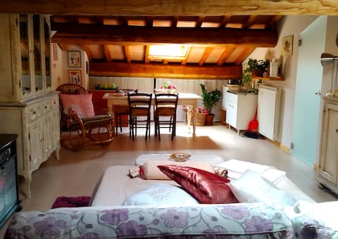 Bright loft in Borgo San Lorenzo (station area)