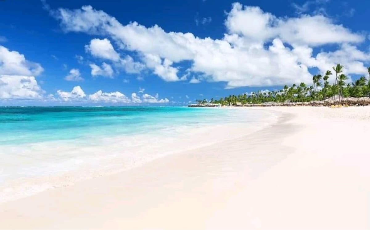 A serene beach scene is depicted, showing soft white sand meeting clear turquoise waters under a bright blue sky. Fluffy white clouds drift through the sky, and a row of palm trees lines the shore, suggesting a tropical environment.