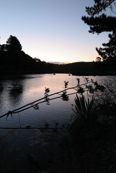 Freshwater area at the side of the driveway