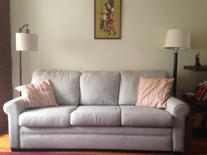 סלון ספה/ספת עור אמריקאית