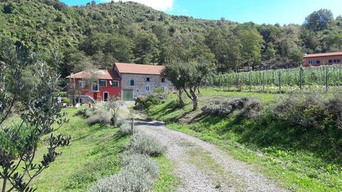 Farm house, Val di Vara near Cinque Terre