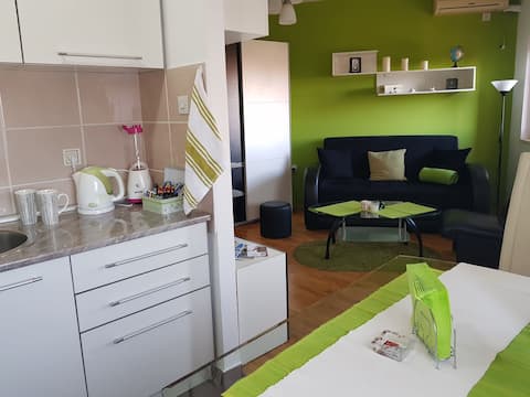 Iva - charming and bright studio