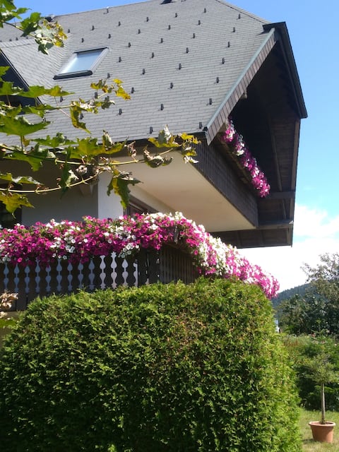 Apartment "Wiesental" Black Forest idyll with panoramic views