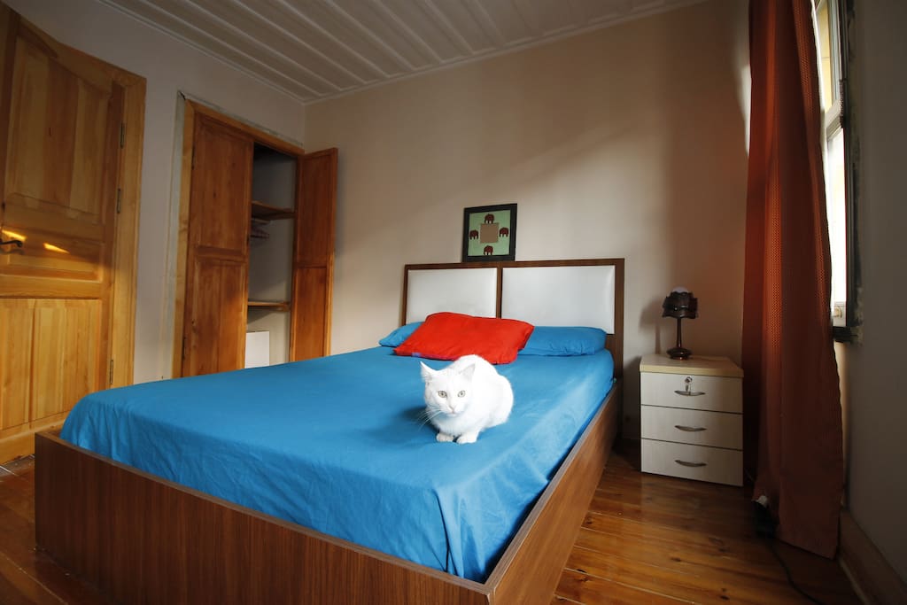 the room and our dear Lokum