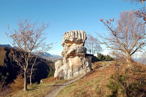 Long stay and teachers