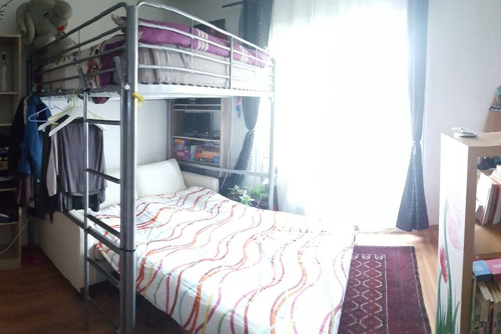 pièce principale avec lit mezzanine et canapé convertible / à gauche un comptoir ouvert sur l'espace cuisine / à droite un espace "bureau" et une bibliothèque