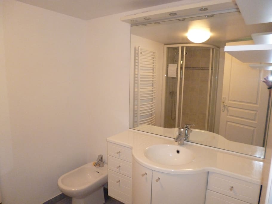 salle de bain avec douche