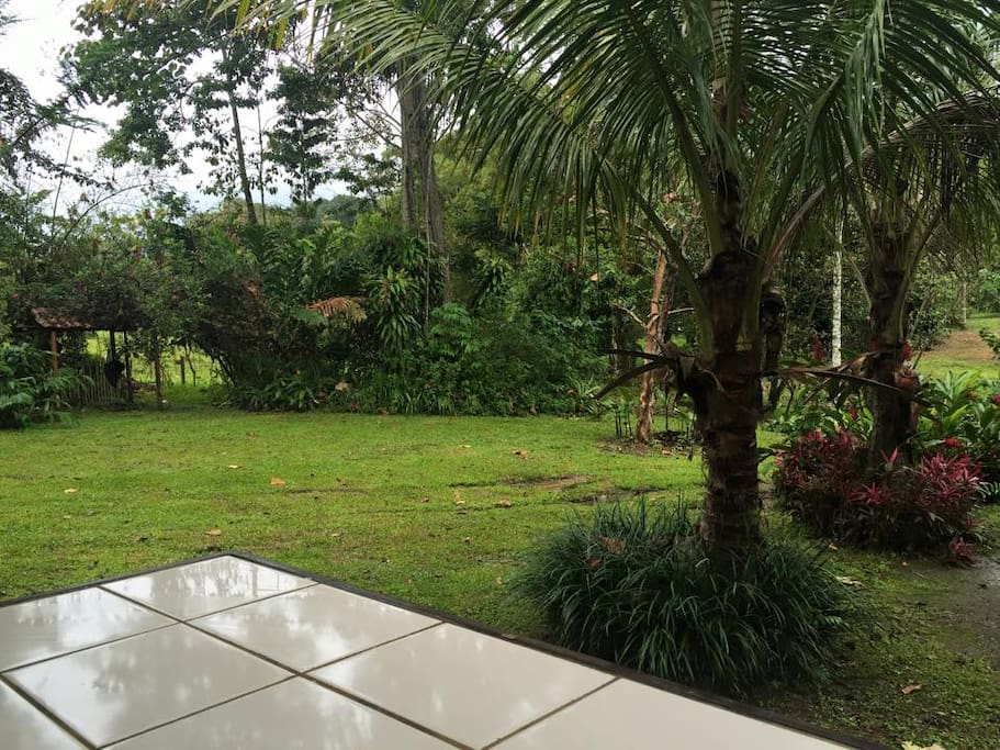 Area de parqueo