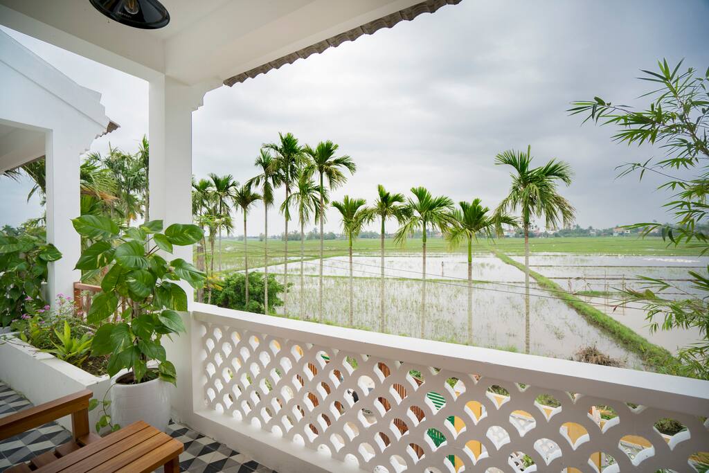 Lớn nhìn cảnh lúa đẹp