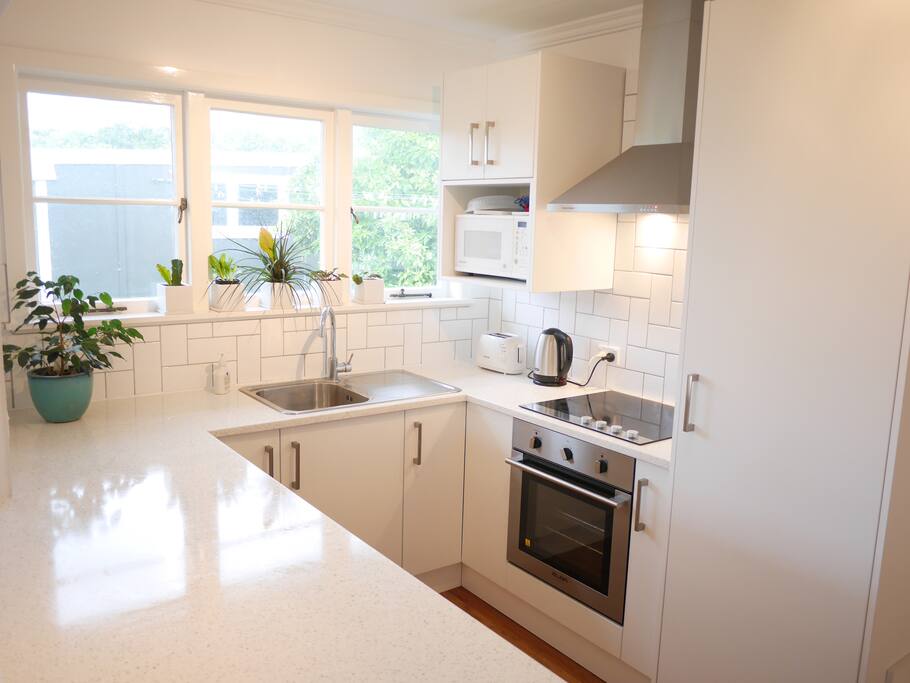 Full, modern kitchen