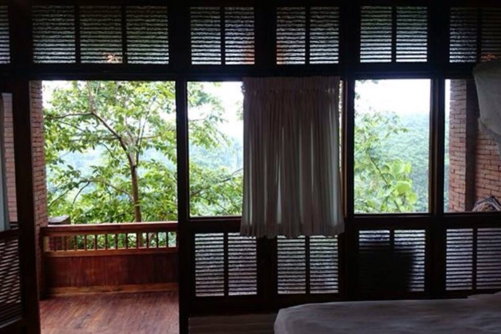 Beautiful rooms directly overlooking the natural grove