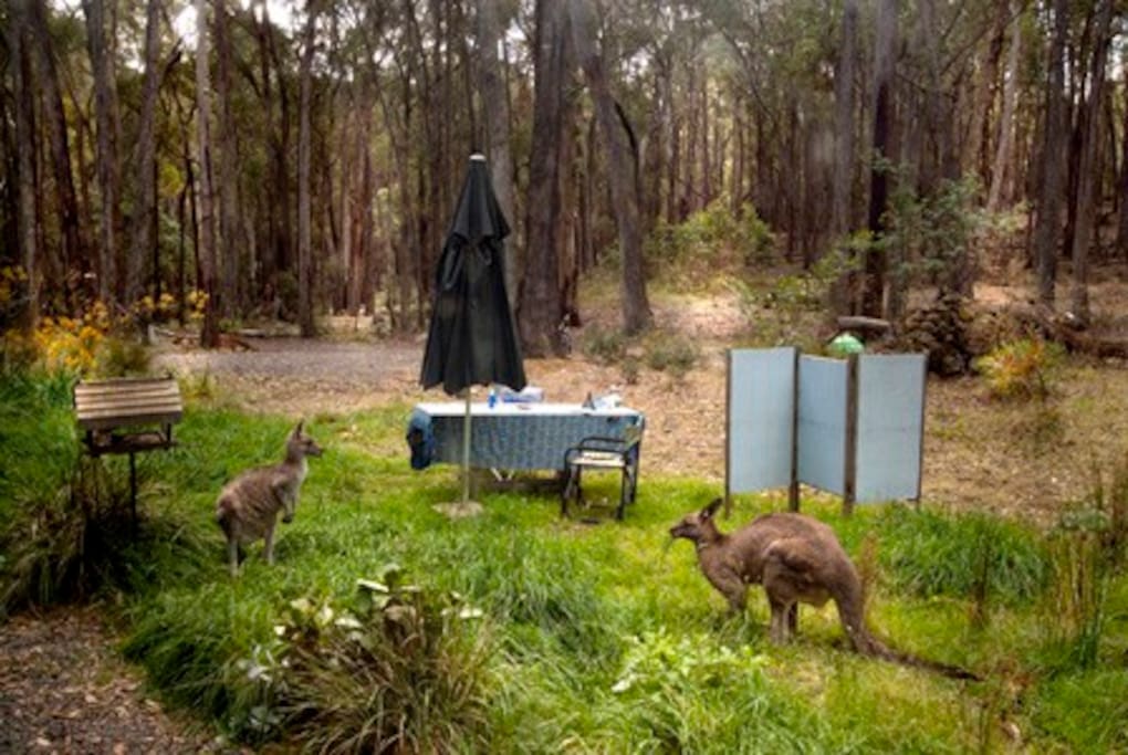 Young Guests Arrive