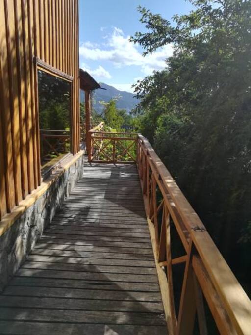 Vista lateral