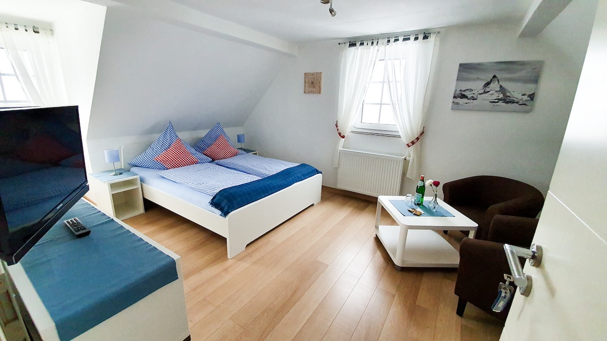 The room features a spacious bed with blue and red accent pillows. A flat-screen TV is positioned near a cozy seating area with a brown chair and a small table. Natural light illuminates the room through two large windows, and decorative elements add a touch of charm.