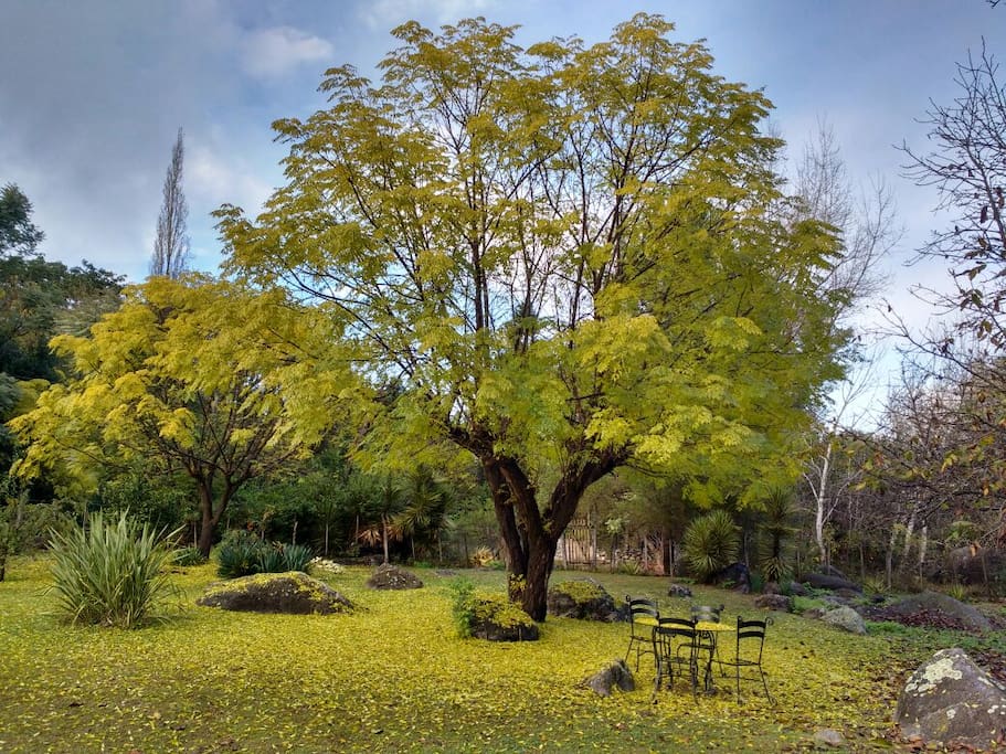 otoño en La Hondonada