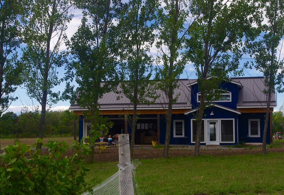 The newly built Vineyard Cottage is on the right, the tasting room on the left