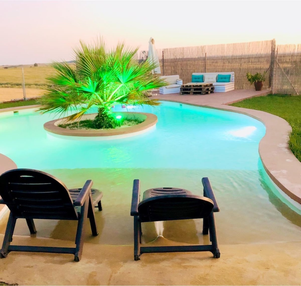 A serene saltwater pool is surrounded by a spacious deck. Two lounge chairs face a central palm tree illuminated in green light. The pool's gentle curves blend with the natural landscape, creating a calming outdoor retreat.