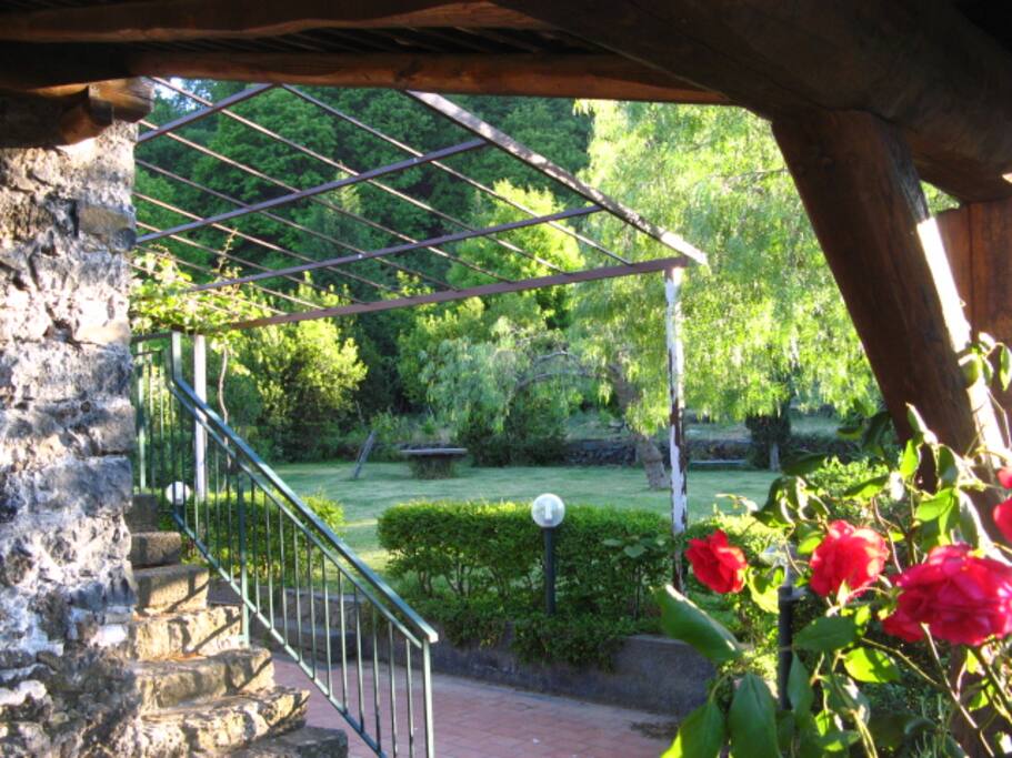 Vista del giardino dal patio