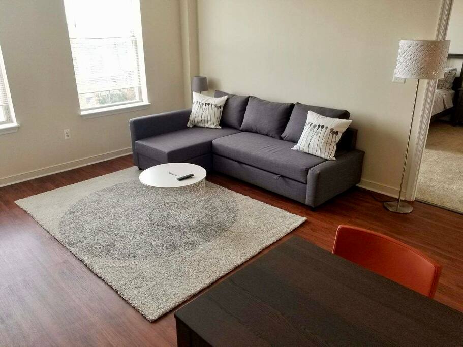 Living Room with convertible sofa