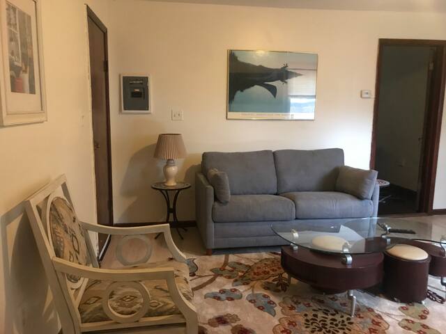 Private two-bedroom in Arts District @ Halsey55